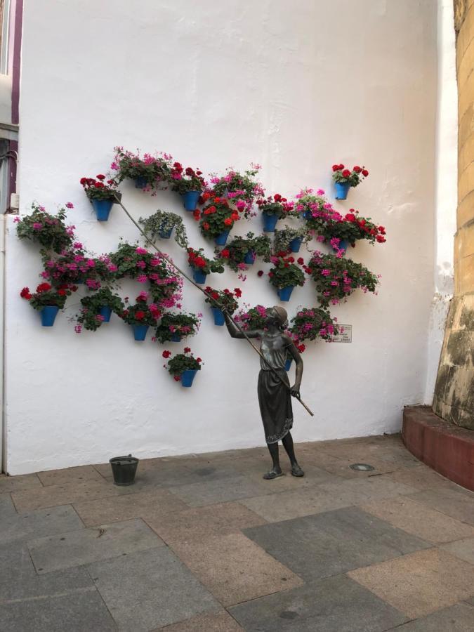 La Regaora Apartamento Córdoba Buitenkant foto
